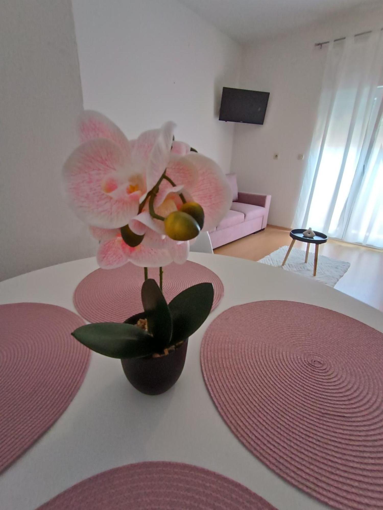 Apartman Lea Sukošan Extérieur photo